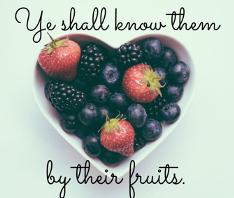 fruit